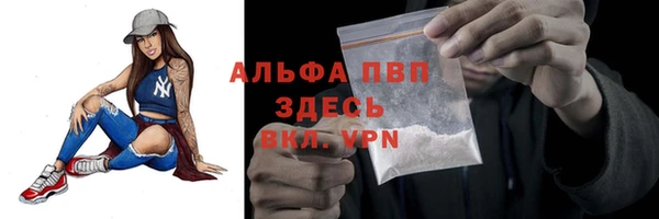 тгк Володарск
