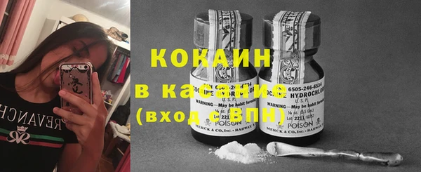 тгк Володарск