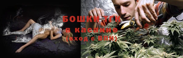 тгк Володарск