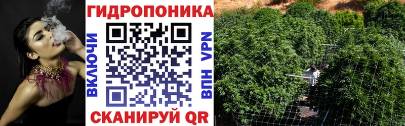 Бошки Шишки OG Kush  мега маркетплейс  Тюмень 